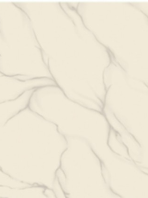 1003 60X60 CM
